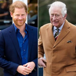Prince Harry and King Charles