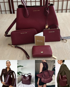 Burgundy Bag